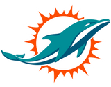 Dolphins heated gear